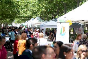 Castelló es converteix en capital de la família amb la participació de més de 40 entitats i centenars visitants