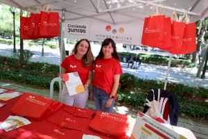 Castellón se convierte en capital de la familia con la participación de más de 40 entidades y centenares visitantes - (foto 8)