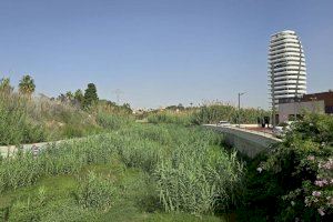 Calp renaturalizará el tramo urbano de los barrancos del Quisi y del Pou Roig
