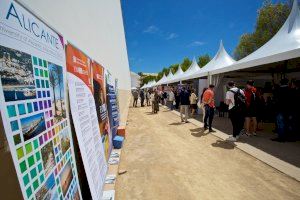 La Universitat d’Alacant celebra la XXVI Marató d’Ocupació i Emprenedoria amb xifra rècord de participació empresarial