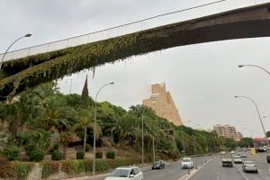 Alicante dedica la pasarela de La Goteta a Florentino Regalado y dos viarios a María Dolores Peretó y al guitarrista José Luis González
