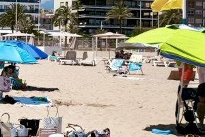 El PP denuncia la “desatención total” en la playa de Gandia por la falta de patrullas y el auge del comercio ilegal