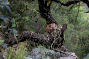 No, no es un cuento: estas figuras misteriosas te esperan escondidas en un bosque de la Sierra Espadán