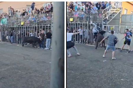 VÍDEO | Impactante revolcón a unos aficionados en los toros de Benimàmet
