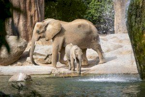 Los BIOPARC afianzan su compromiso con la naturaleza por el Día de la Biodiversidad