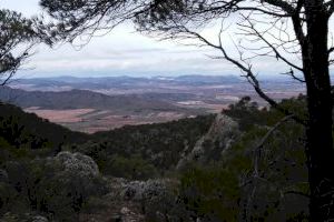 Villena muestra orgullosa sus espacios protegidos en el Día Europeo de la Red Natura 2000