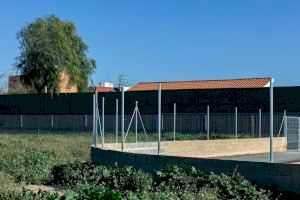 València destinarà 5,2 milions d'euros a la gestió integral dels animals abandonats en els centres municipals d'acolliment
