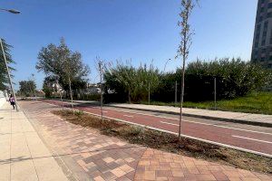 Les activitats d’Alzira en Verd es tanquen amb la presentació del carrer Bernat Montagud com a zona escolar segura