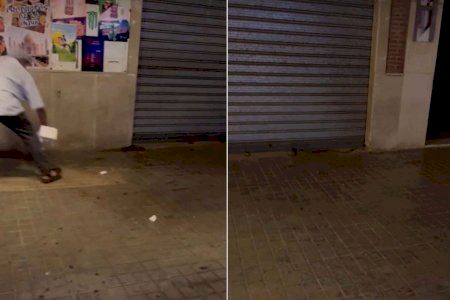 VÍDEO | Tensión en una calle de Sueca al aparecer una culebra de 1,5 metros
