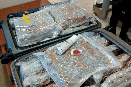 Una maleta sin ropa llama la atención a la Guardia Civil en el Aeropuerto de Manises: hallan 33 kilos de marihuana