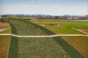 El gobierno de Xirivella avisa: el estudio paisajístico de la Saleta "es insuficiente y con carencias"