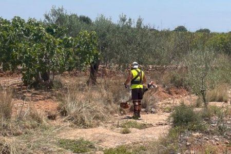 Betxí abre el plazo para el programa de empleo agrario que contratará a 23 personas este verano