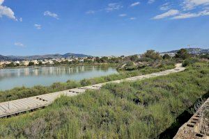 Calp retira el mobiliario urbano de las Salinas en cumplimiento de la sentencia del TSJ