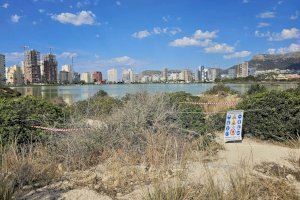 Calp retira el mobiliario urbano de las Salinas en cumplimiento de la sentencia del TSJ - (foto 2)