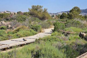 Calp retira el mobiliario urbano de las Salinas en cumplimiento de la sentencia del TSJ - (foto 3)