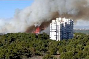 Devesa activa un escut preventiu contra incendis que han començat a aplicar els Bombers
