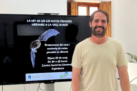 La Vall d'Uixó censará a los murciélagos que viven en la ciudad