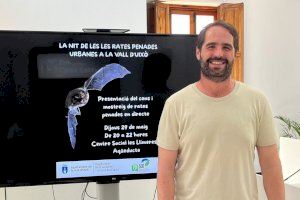 La Vall d'Uixó censará a los murciélagos que viven en la ciudad La Vall d'Uixó censará a los murciélagos que viven en la ciudad