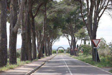Un paseo entre pinos y siglos: Cabanes dignifica el entorno del Arco Romano