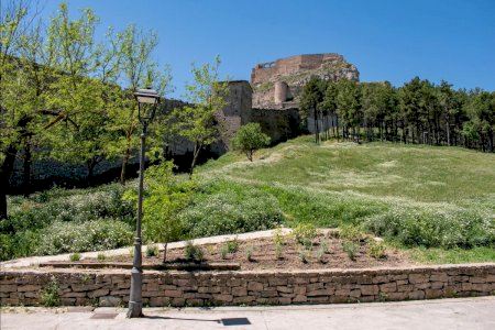 La Alameda de Morella estrena un nuevo aspecto con plantas ornamentales y sistema de riego
