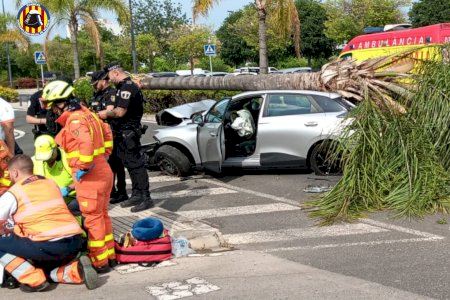 Un coche acaba aplastado por una palmera en un accidente en Gandia