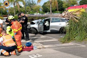 Un coche acaba aplastado por una palmera en un accidente en Gandia