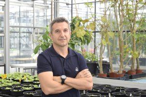 Desarrollan una técnica para obtener vacunas más eficaces para plantas sin modificar sus genes