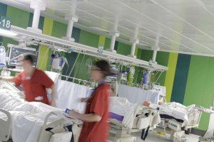 Un hombre contrae la rabia en África por una mordedura de perro y acaba ingresado en la UCI en un hospital valenciano