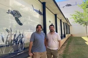 La Universitat de València participa en un estudi mundial sobre la conservació de la megafauna marina que es publica en Science