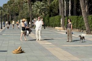 Teatro en las calles de Benicàssim para denunciar a quienes no recogen las cacas de sus mascotas