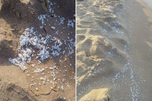 Alerta en el litoral valencià: detecten un possible abocament marí i prohibeixen el bany en set localitats