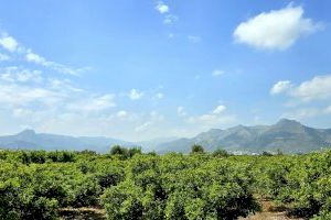 ¿Desaparecen las tormentas este martes en la Comunitat Valenciana?