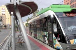 El TRAM de Castelló refuerza el servicio con motivo de la V edición de los conciertos del Pinar en el Grau