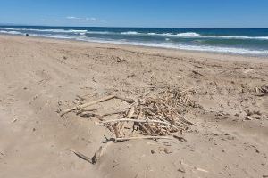 Pies en peligro en las playas de Valencia tras la DANA: aumentan las lesiones por objetos clavados en la arena