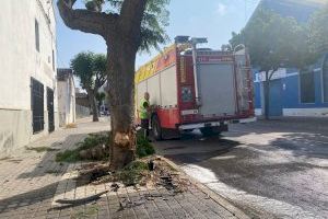 Susto en Burriana: un coche se sale de la vía y obliga a cortar la Av. de Almassora