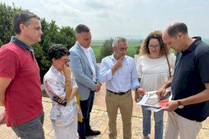 La Conselleria d'Agricultura tria l'arrossar suecà per a presentar la campanya contra el ‘cucat’