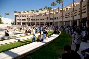 Consulta las mejores notas de las PAU en la Universitat d'Alacant