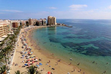 Les platges valencianes s'enfronten a un nou escenari: la mar ja no és Mediterrani, és tropical