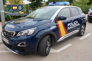 La Policía Nacional detiene al autor de múltiples robos con fuerza en establecimientos de Castellón