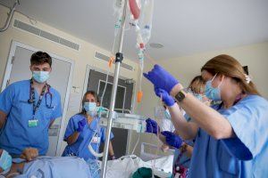 El Hospital La Fe supera los 100 trasplantes de médula ósea de donante en pacientes adultos en un año