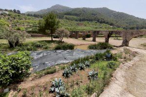 Alfondeguilla crea un lago de agua dulce con plantas acuáticas en el paraje del Pont de l’Aigua