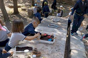 El Ayuntamiento de Alcoy cierra el curso escolar con cerca de 5.000 alumnos participantes en las actividades de educación ambiental