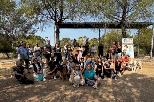 Paterna organiza un curso de obediencia canina en el que participan una treintena de mascotas