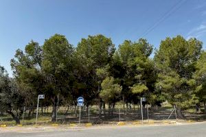 El Ayuntamiento de San Vicente da un paso más para la renovación del espacio verde y la zona recreativa del barrio del Tubo