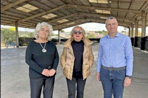 Los socialistas de Torreblanca Valoran positivamente la reactivación del Mercat de la Carxofa que fue impulsada por el anterior gobierno