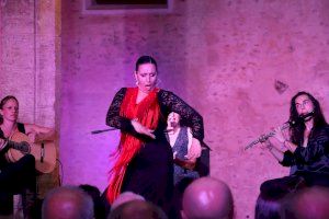 “Tablao Flamenco Origen” con la Chusa y Leo Molina cierran con éxito el ciclo ‘Noches de Flamenco al Castell de Alaquàs’ - (foto 5)