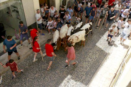 Éxito rotundo en la primera gran trashumancia en Puçol
