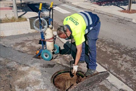 Almassora refuerza los tratamientos contra ratas y cucarachas para evitar su proliferación durante el verano