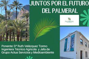 Orihuela celebra la I Jornada ‘Juntos por el futuro del Palmeral’ para concienciar sobre la conservación del BIC