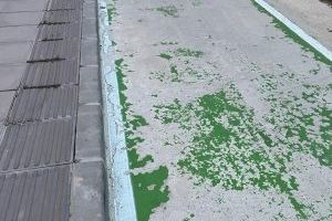 Carril cicliprogre- (foto 1)